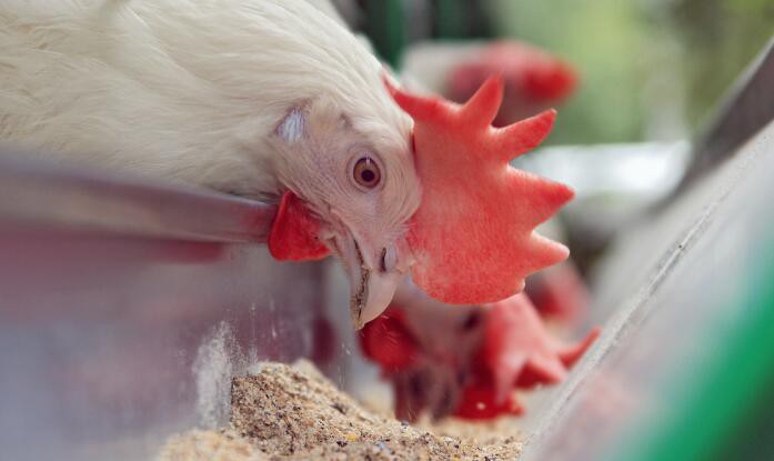 202108171111332c58cdcaef434b6aa162f058ea760f99 202108171111332c58cdcaef434b6aa162f058ea760f99