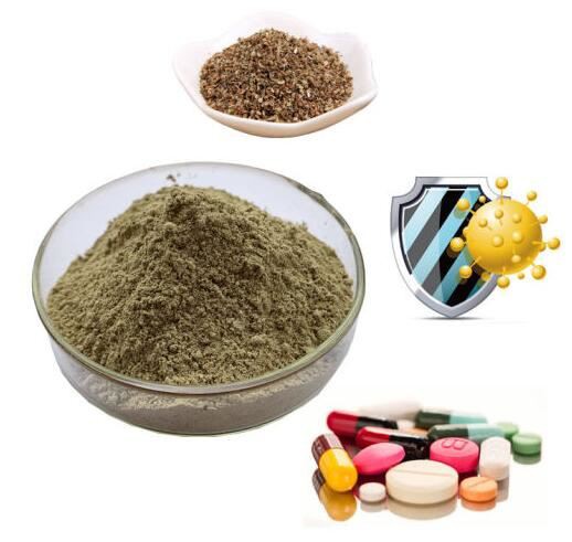 202108171139008949138d955e411eb14531d3b466ccb7 202108171139008949138d955e411eb14531d3b466ccb7