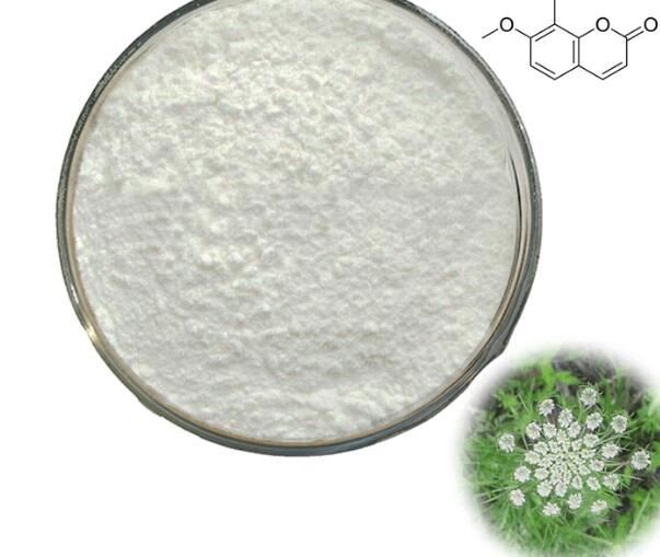 20210817113931265b2e8c26114ff1a2077abe315a9bb0 20210817113931265b2e8c26114ff1a2077abe315a9bb0