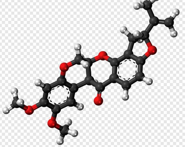 20210926170132bdec609246de47e2bebc28c07be11b0c 20210926170132bdec609246de47e2bebc28c07be11b0c