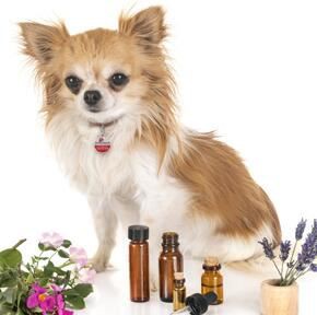 20211122162404986b276c0ff84600ae4e78d666d300c5 20211122162404986b276c0ff84600ae4e78d666d300c5