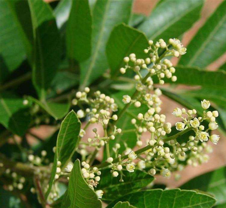 202012141200064377b451b7e74b1fa713b7a674a58a67-1 202012141200064377b451b7e74b1fa713b7a674a58a67-1