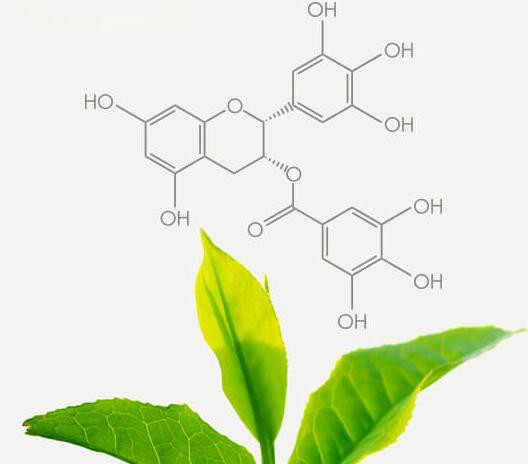 202105211157115d2ed7119a8344feb0450969cb6cccb2 202105211157115d2ed7119a8344feb0450969cb6cccb2