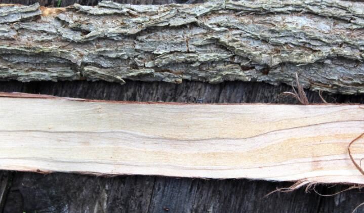 2021070613574766b952a36ce0408ca1a9fe7710d41c0e-7