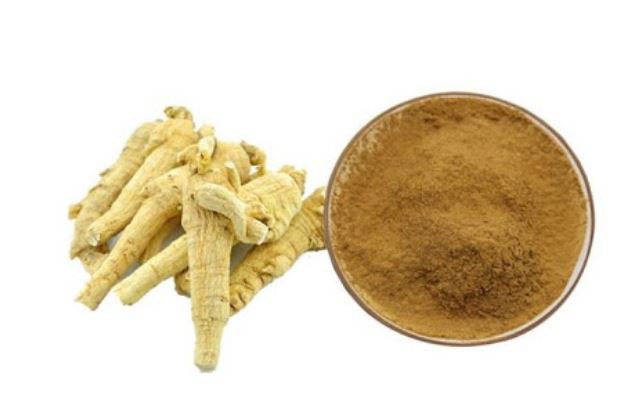 20210803140140459f5bb40a91465399f6029daab6fd3b 20210803140140459f5bb40a91465399f6029daab6fd3b