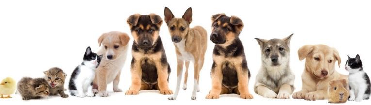 202108031415371d4086003bf646b9979bbe3a9e15c806-1 202108031415371d4086003bf646b9979bbe3a9e15c806-1