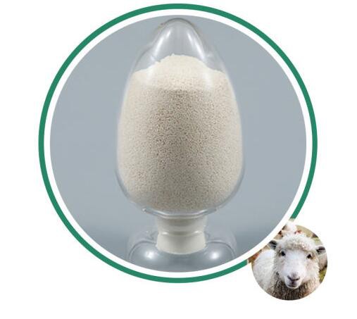 202109061638391ed7ee3855ea4e5986afc0c92123cc4e 202109061638391ed7ee3855ea4e5986afc0c92123cc4e