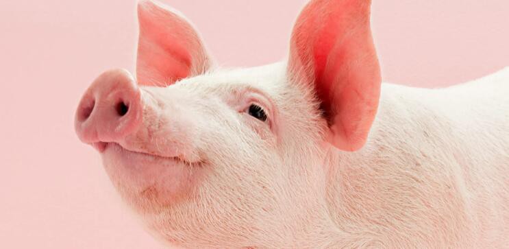 2021090816291846a4e7f8e8ab4046852b2e8771734bc7-19