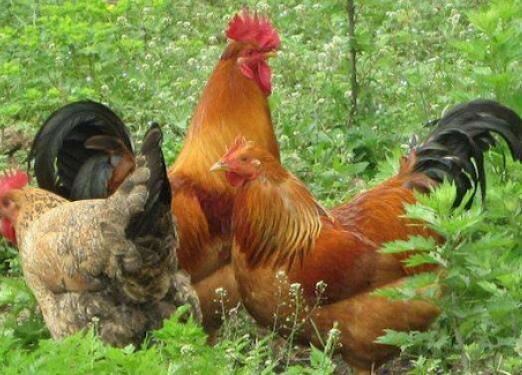 20210915154341c6c78716657a400d8eaa370c54a7a5cd-4 20210915154341c6c78716657a400d8eaa370c54a7a5cd-4