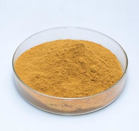 20210924154811225a1f16bae745e1a35691aae6bbca42-2 20210924154811225a1f16bae745e1a35691aae6bbca42-2