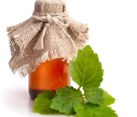 20211119164243573b7a82777f4c79b5fd0b7a5fde2783-1