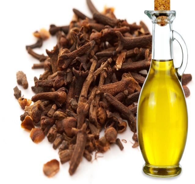 20211122151417880dee5a7c574544bb75271f5cf977e2 20211122151417880dee5a7c574544bb75271f5cf977e2