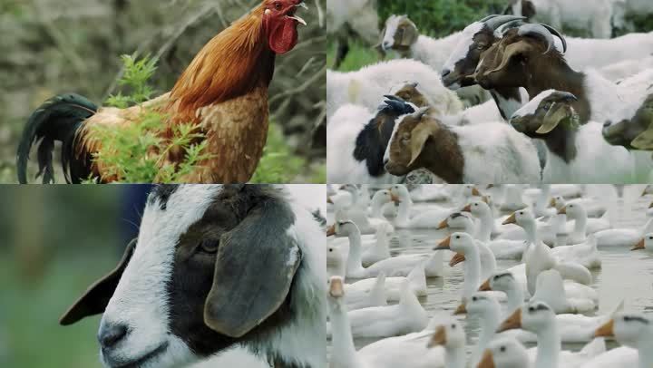 20211125162818bc659163760e4bedb0b1ffb8730b100c-2 20211125162818bc659163760e4bedb0b1ffb8730b100c-2