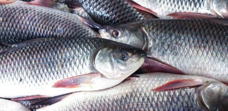 20211202153921676b3368886e452bbe0c37eb7fb2fdde-4 20211202153921676b3368886e452bbe0c37eb7fb2fdde-4