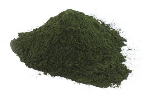 20211203163527ec8762a806d042a19b1faee7c67edfa4 20211203163527ec8762a806d042a19b1faee7c67edfa4