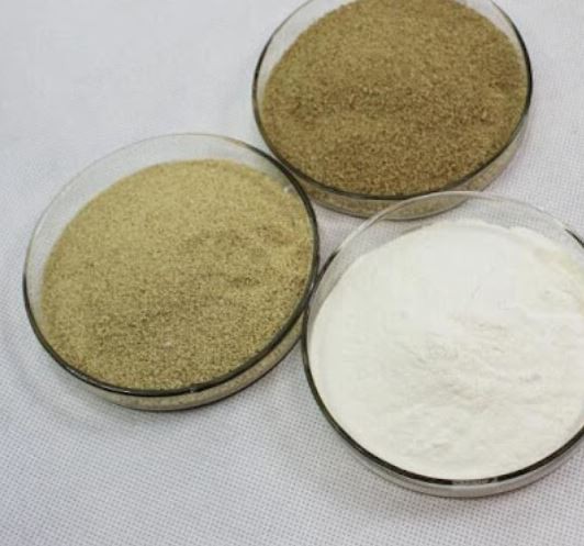 202112220919348993dc49fbf44d508404822a403c7909-5 202112220919348993dc49fbf44d508404822a403c7909-5