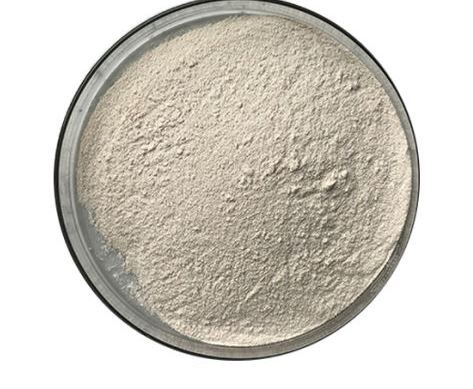 20211223091050a69487088360495396cf08beb8884c0d-2 20211223091050a69487088360495396cf08beb8884c0d-2