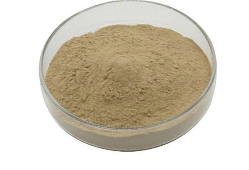 2022010410410212e99c8786bd41fda03b41d460b60186