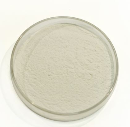 202201071043066950b51474db4cb38b76b84abe3e1f38-1 202201071043066950b51474db4cb38b76b84abe3e1f38-1