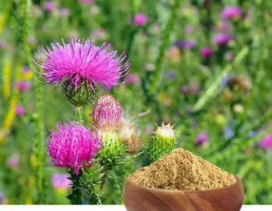 202201181059119bdef7d218314daaa6cae604c860c296 202201181059119bdef7d218314daaa6cae604c860c296