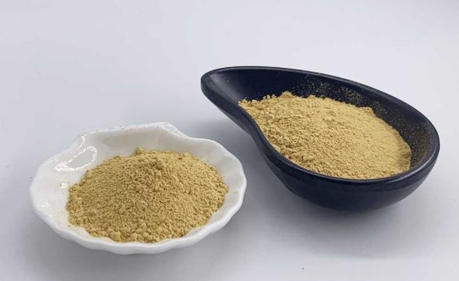 20220119122532fbd45ad3e29849b4a495c54bad75a340 20220119122532fbd45ad3e29849b4a495c54bad75a340