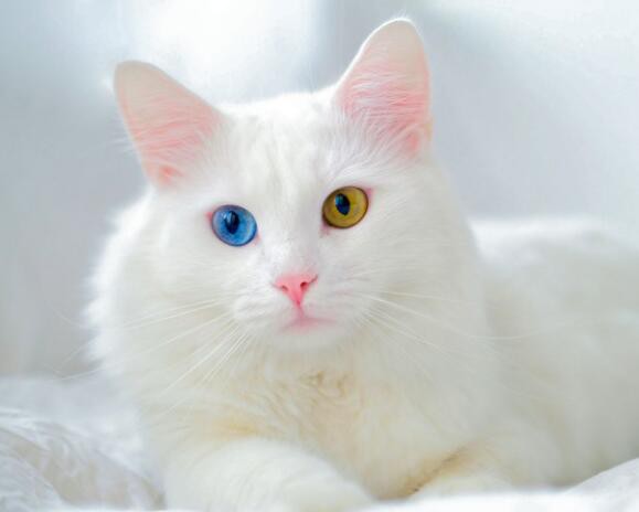 202203251329288c947505a0fc434ea711359c8ba8dc43 202203251329288c947505a0fc434ea711359c8ba8dc43