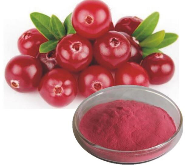 20220329155426e022bf81a1f74c95a89fab2485ba380f 20220329155426e022bf81a1f74c95a89fab2485ba380f