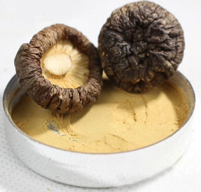 20220421105829aaeb8adad7584d81af6cdd6d031b6973