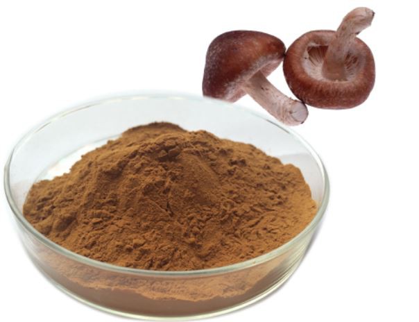 20220421105846045c551ae0534d62bbb7a3f60a8da324-1 20220421105846045c551ae0534d62bbb7a3f60a8da324-1