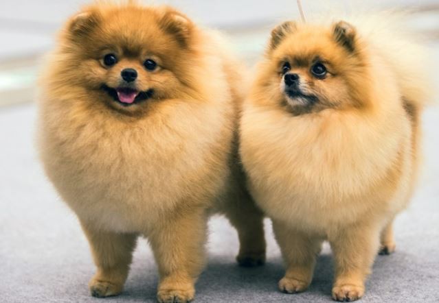 2022042211573314bb00e1fcce4202a35544cf73ef3730-8 2022042211573314bb00e1fcce4202a35544cf73ef3730-8