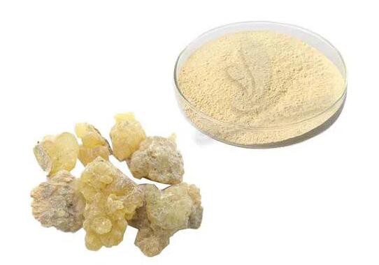 20220425141851b85f487d2e5b4978ac8521cc2b693cd5