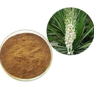 202204281329556a378c31ee744d0a85156ca6a09ae7d2-1 202204281329556a378c31ee744d0a85156ca6a09ae7d2-1