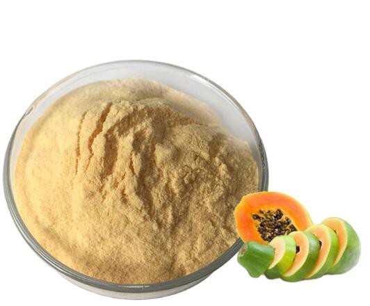 202205091556454ae13c3a08314a9c90cc8bb36826c480-1 202205091556454ae13c3a08314a9c90cc8bb36826c480-1