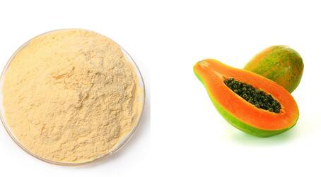 20220509155714ce2f7d4eabfe419ba4b1cbb693b9acf7-3 20220509155714ce2f7d4eabfe419ba4b1cbb693b9acf7-3