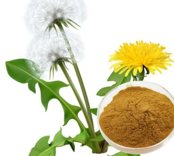 20220513120111967cd280955f46fb9ff163fd934f21d9