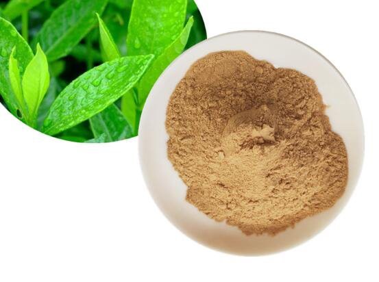 202206271639529a92947ca11f47fda3439cab52e251a5 202206271639529a92947ca11f47fda3439cab52e251a5