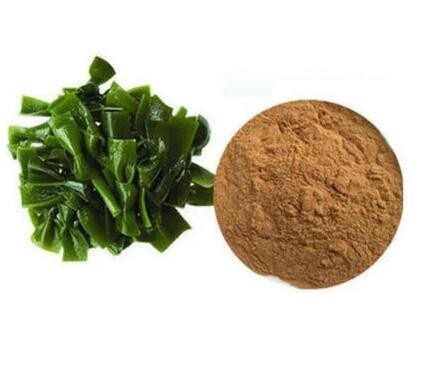 202207131412497ebf90103a0b4762bf9fe1386d47806e-4