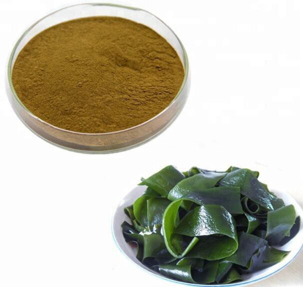 20220713141329087c4299cbce4ecf9f76424fe7072c29-3 20220713141329087c4299cbce4ecf9f76424fe7072c29-3