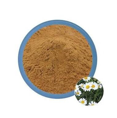 20220729115115a07e5b82c8764538903880771c18b516