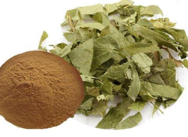 20220824131238322efbf287ec45ce81004d6cdd01500e-1