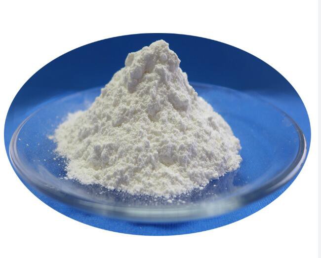 2022112413334818586da555134aea9e98a6969cff6731 2022112413334818586da555134aea9e98a6969cff6731