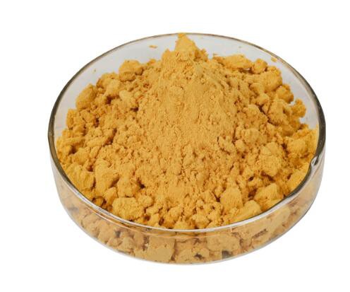 202301041546391f8e5b7799a94956b9e1f9a7f1556af0 202301041546391f8e5b7799a94956b9e1f9a7f1556af0