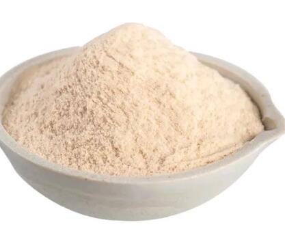 202301311330049e65373cb1424c6ca9e0c286a1315bb8 202301311330049e65373cb1424c6ca9e0c286a1315bb8