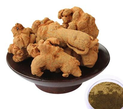 20230214115953b1b489132df04ee4bf8764312206fb46 20230214115953b1b489132df04ee4bf8764312206fb46