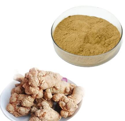 20230214133040a9add1cd3f16419eb8bd491fd50a91ac 20230214133040a9add1cd3f16419eb8bd491fd50a91ac