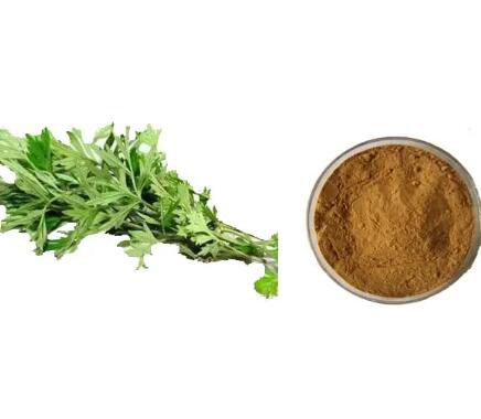 20230221152210bd89dc9d87394c9ca5b9239140af770d 20230221152210bd89dc9d87394c9ca5b9239140af770d