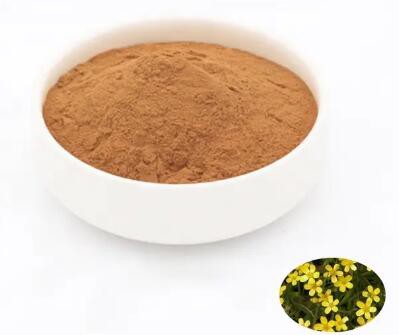 202303061528413cf3d947cc014447b5ce42350c6f2871 202303061528413cf3d947cc014447b5ce42350c6f2871