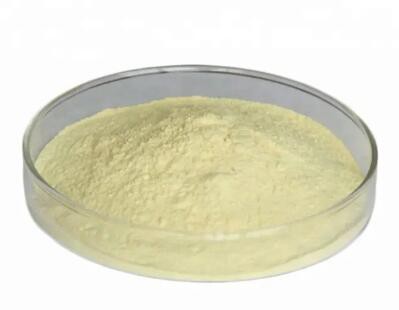 20230322141437cfd20828d8994cc99aa2debd0364abc5-1