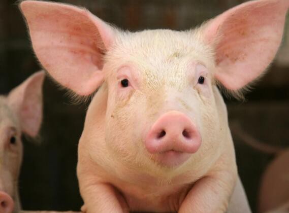 20230322162004d7e80c82192944369e6cd87efc6e5faf-2 20230322162004d7e80c82192944369e6cd87efc6e5faf-2