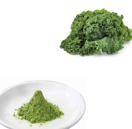 20230419142144e0b8c6a9a48e4a8b9459b1b5d54967e7 20230419142144e0b8c6a9a48e4a8b9459b1b5d54967e7